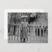 Teddy Roosevelt am Grotte Tree Grove Santa Cruz Postkarte (Vorne/Hinten)