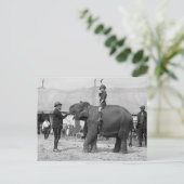 Teddy Roosevelt am Zirkus: 1924 Postkarte (Stehend Vorderseite)