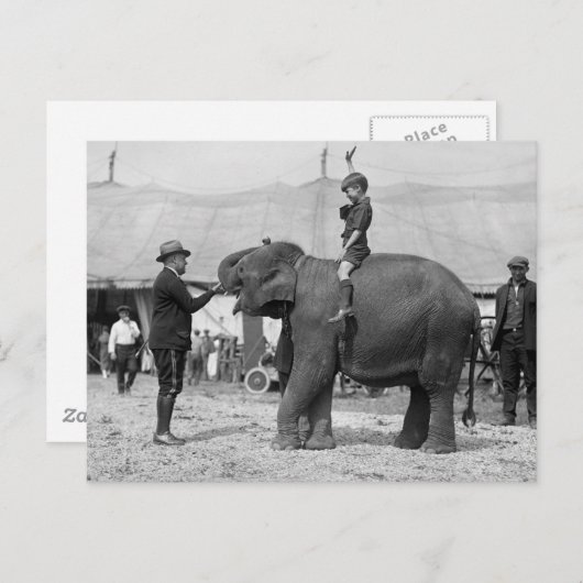 Teddy Roosevelt am Zirkus: 1924 Postkarte (Vorne/Hinten)