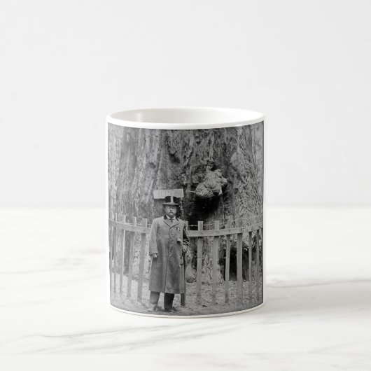 Teddy Roosevelt an der großen Baum-Waldung Santa Kaffeetasse (Mittel)