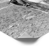 Teddy Roosevelt auf der Jagd auf Pferde Poster (Ecke)