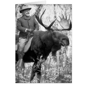 Teddy Roosevelt, der einen Stier-Elch reitet