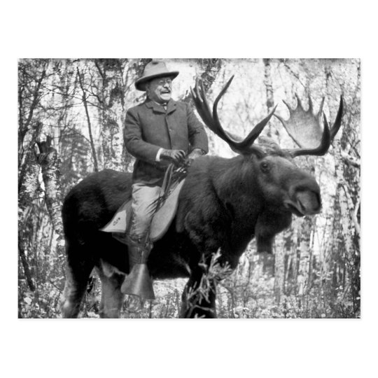 teddy_roosevelt_der_einen_stier_elch_rei