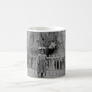 Teddy Roosevelt im Big Tree Grove Santa Cruz Kaffeetasse