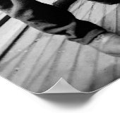 Teddy Roosevelt mit Crew, Anfang des 19. Jahrhunde Poster (Ecke)