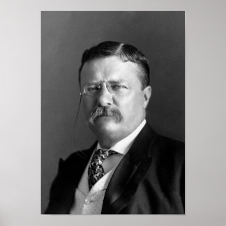 Teddy Roosevelt Portrait - 1904 Poster