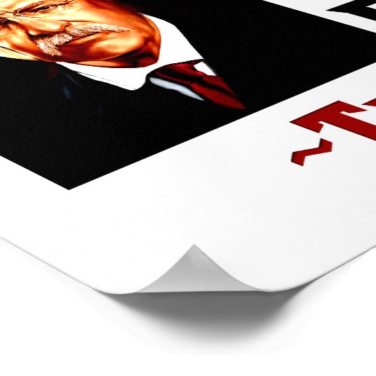 Teddy Roosevelt Poster (Ecke)