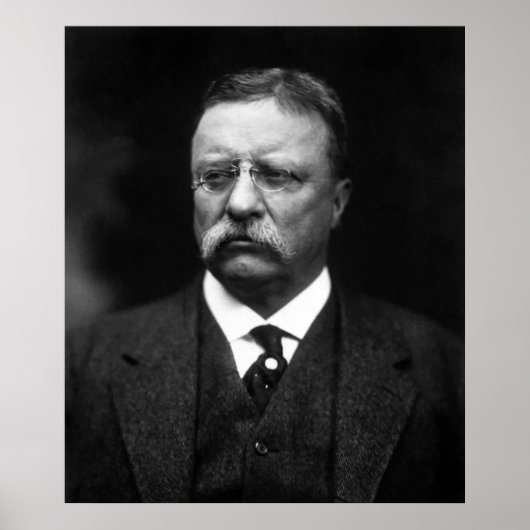 Teddy Roosevelt Poster (Vorne)