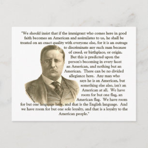 Teddy Roosevelt Zitat Postkarte