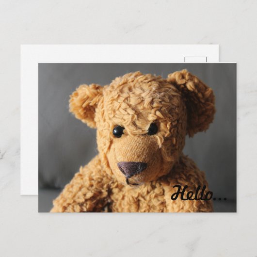 Teddy sagt Hallo Postkarte (Vorne/Hinten)
