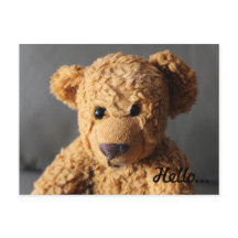 Teddy sagt Hallo