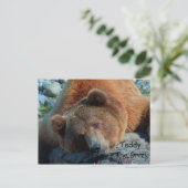 Teddy the Grizz Postkarte (Stehend Vorderseite)