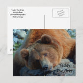 Teddy the Grizz Postkarte (Vorne/Hinten)