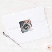 Teddy the Ragdoll Cat Sticker (Umschlag)