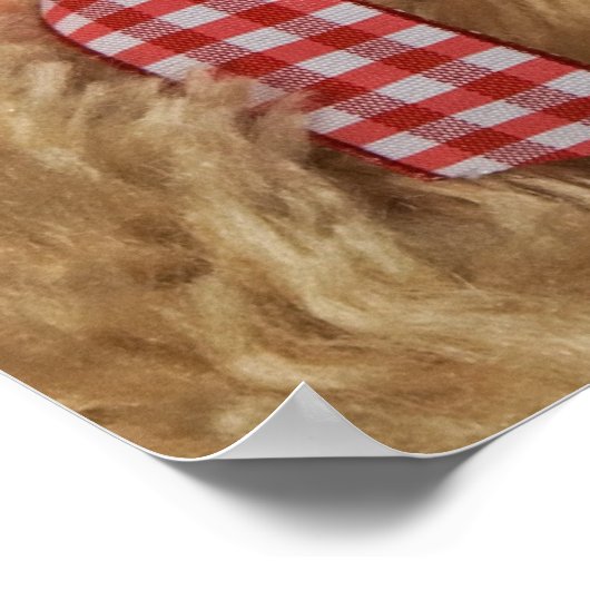 Teddy Time Poster (Ecke)