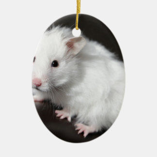Teddybär-Hamster Keramik Ornament