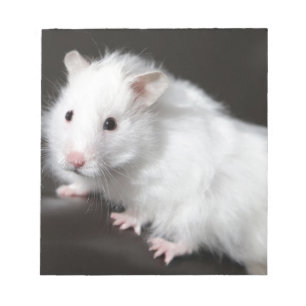 Teddybär-Hamster Notizblock