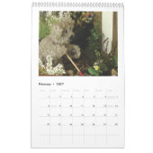 Teddybär-Henrys Geschichten Kalender (Feb 2027)