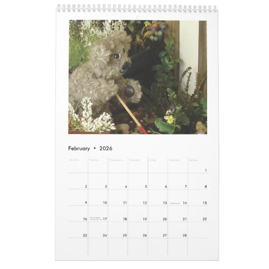 Teddybär-Henrys Geschichten Kalender (Feb 2026)