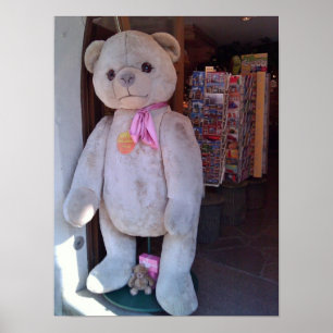 Teddybär in Rothenburg, Deutschland Poster