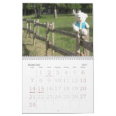 Teddybär-Kalender Kalender (Feb 2027)