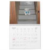 Teddybär-Kalender Kalender (Mär 2027)