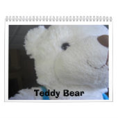 Teddybär-Kalender Kalender (Titelbild)