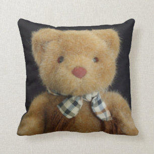 Teddybär Kissen