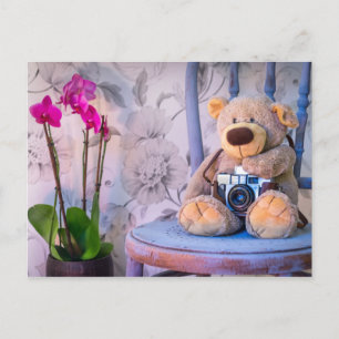 Teddybär mit Kamera-Postkarte Postkarte