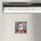 Teddybär Sammler Magnet (In Situ (Geschirrspüler))
