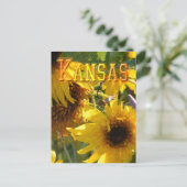 Teddybär-Sonnenblumen: Kansas Postkarte (Stehend Vorderseite)