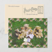 Teddybären, frühe familiäre Ansammlung Postkarte (Vorne/Hinten)
