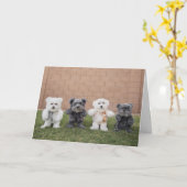 Teddybären Karte (Gelbe Blume)