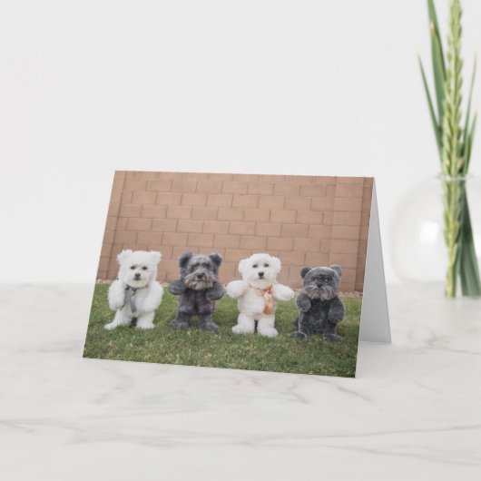 Teddybären Karte (Vorderseite)