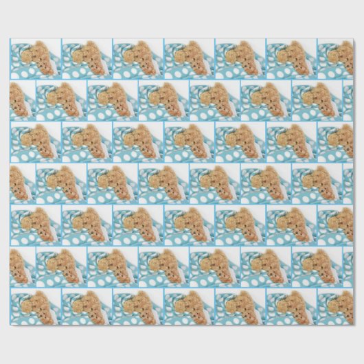 Teddybären schnauzen unter Decke Geschenkpapier (Flach)