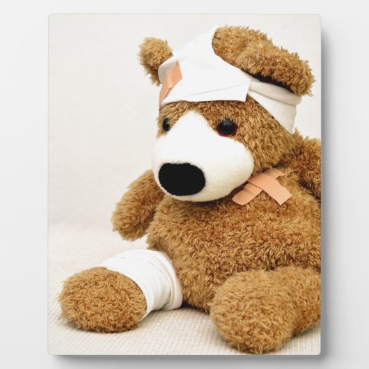 Teddybärtiergewohnheit personifizieren fotoplatte (Vorderseite)