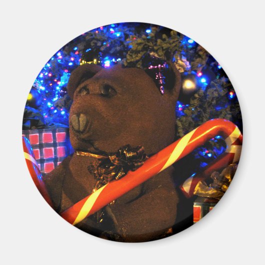 Teddys Weihnachten I Magnet (Vorne)
