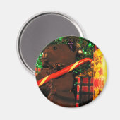 Teddys Weihnachten II Magnet (Vorderseite/Rückseite)
