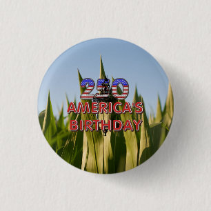 TEE Amerikas 250. Geburtstagsmagnete Button