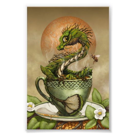 Tee Dragon 4x6 Print Fotodruck (Vorne)