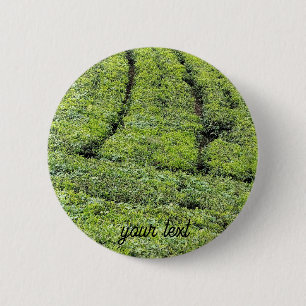 Tee-Gärten von Munnar am  Button