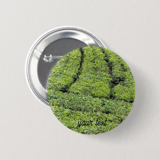 Tee-Gärten von Munnar am Button (Vorne & Hinten)