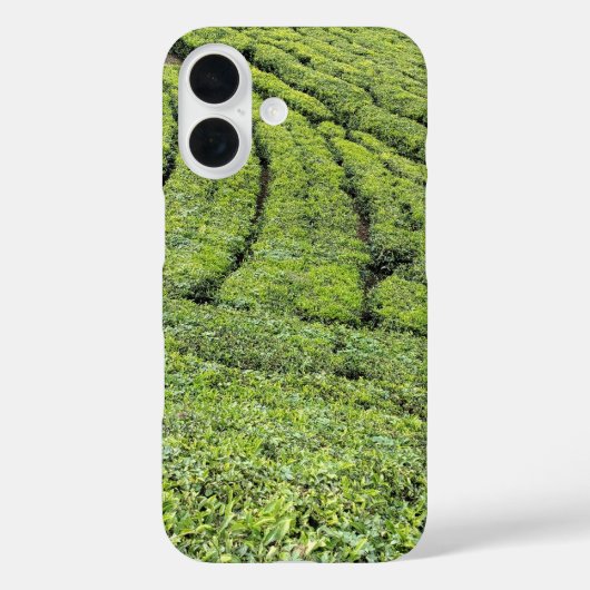 Tee-Gärten von Munnar auf Apple Iphone 16 Hülle (Rückseite)