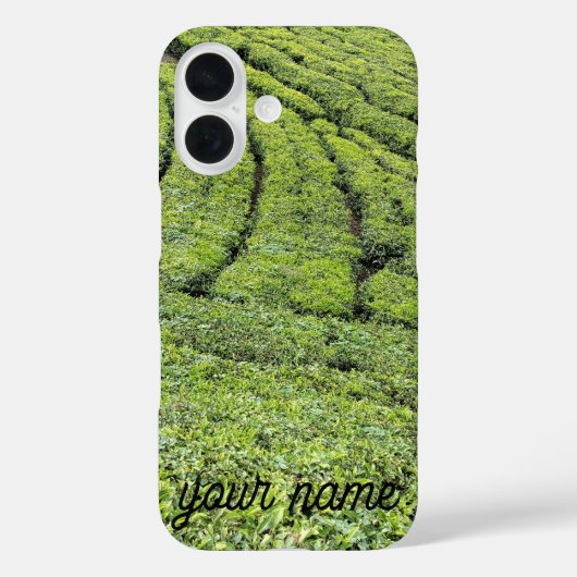 Tee-Gärten von Munnar auf Apple Iphone 16 Hülle (Rückseite)