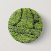 Tee-Gärten von Munnar auf Button (Vorderseite)