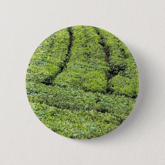 Tee-Gärten von Munnar auf Button (Vorderseite)