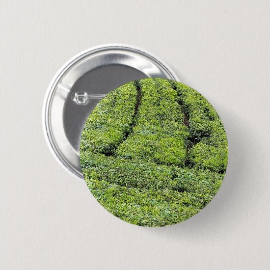 Tee-Gärten von Munnar auf Button (Vorne & Hinten)