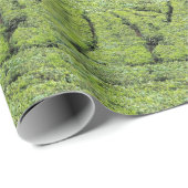 Tee-Gärten von Munnar auf Geschenkpapier (Rolleneckpunkt)
