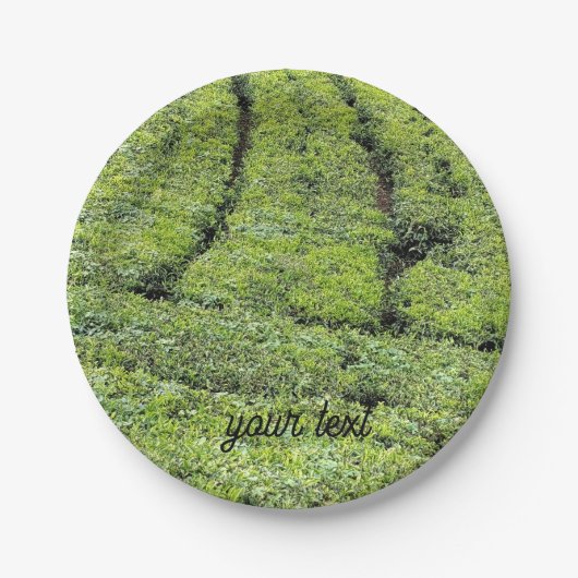 Tee-Gärten von Munnar auf Pappteller (Vorderseite)