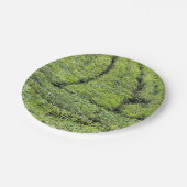 Tee-Gärten von Munnar auf Pappteller (Schrägansicht)